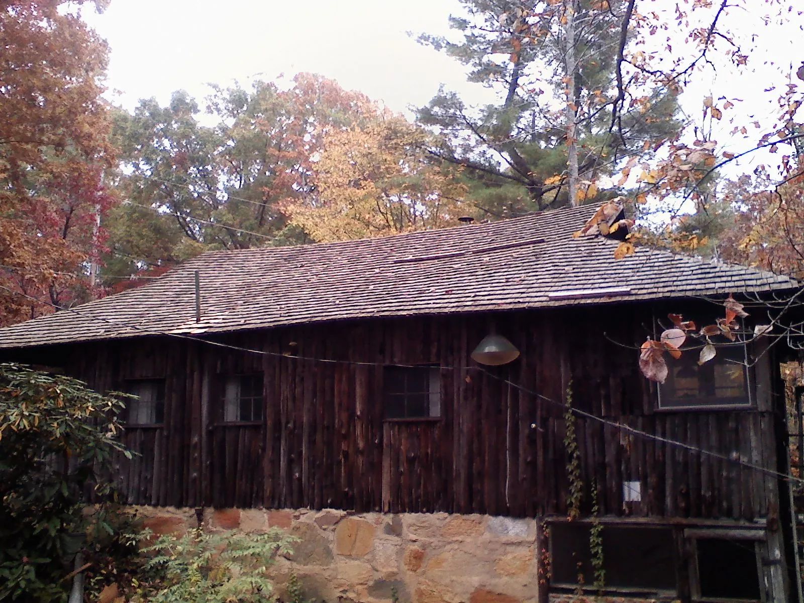Weathered wood shake roof on a rustic board sided cabin in Grand Rapids