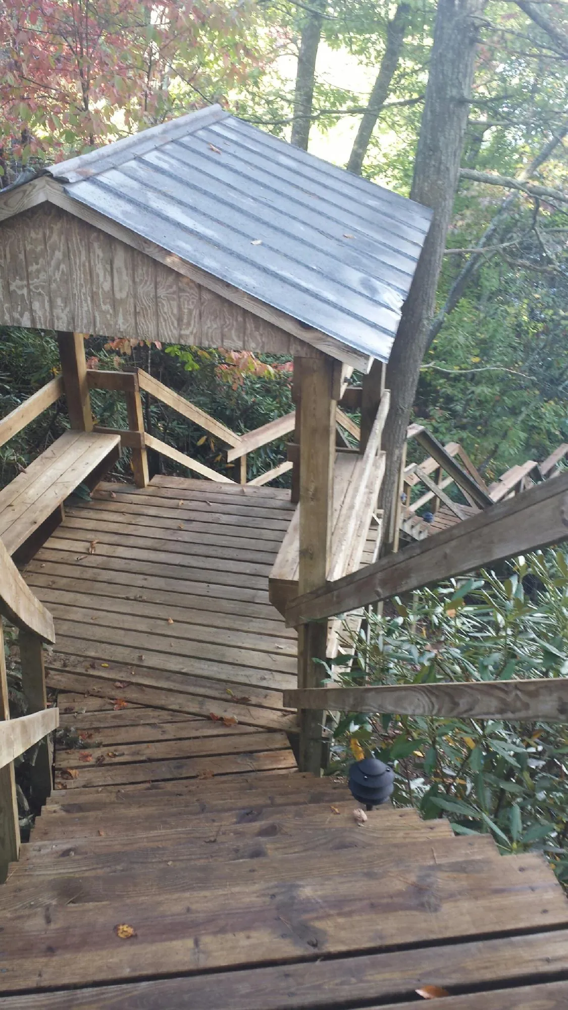 Metal roofed shelter over wooden steps on a wooded walkway — Skylight Repair & Installation work by our crew in Grand Rapids
