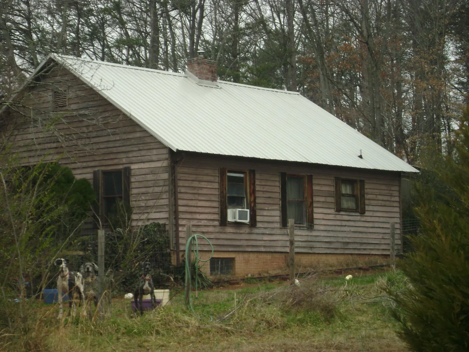 White metal roof on an old wood sided farmhouse, from a Asphalt Shingle Roof Repair job in Grand Rapids